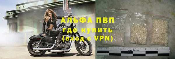 крисы Верхний Тагил