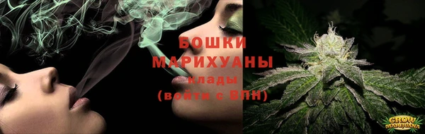 крисы Верхний Тагил