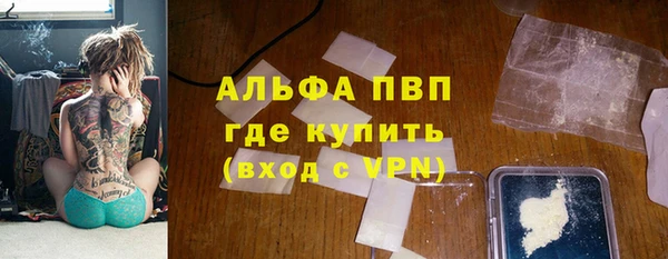 крисы Верхний Тагил