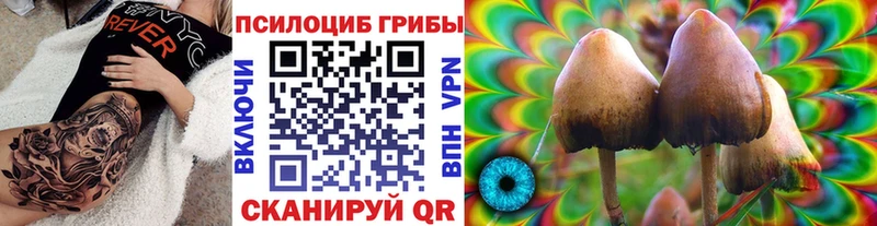 Галлюциногенные грибы мицелий  kraken зеркало  Касимов  купить наркоту 